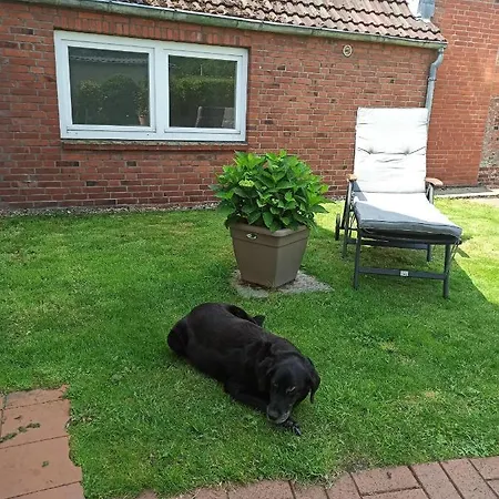 Eckis Hus * Гардинг