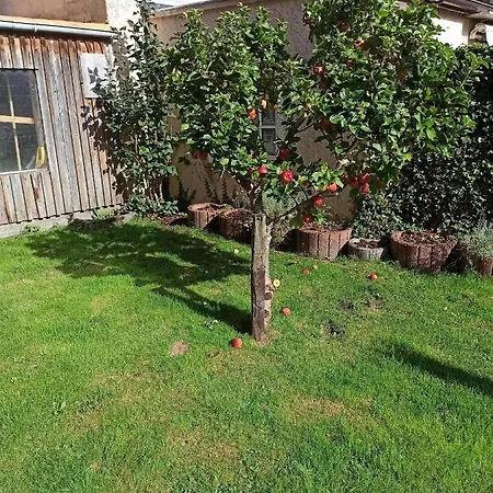 Дом отдыха Eckis Hus Гардинг