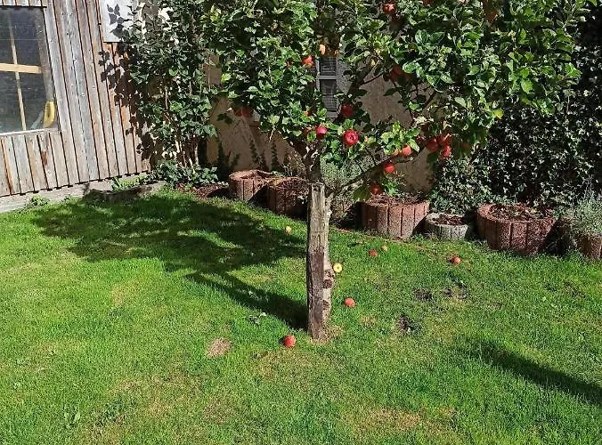 Casa de Férias Eckis Hus Garding